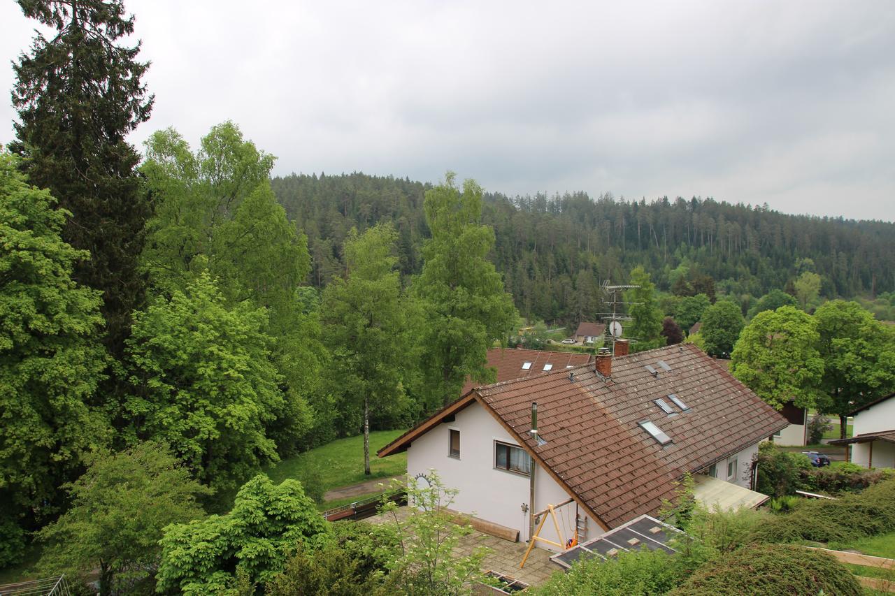 Kuckucksnester Friedenweiler Bagian luar foto