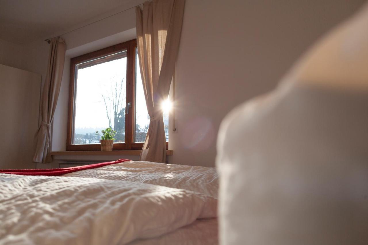 Kuckucksnester Friedenweiler Bagian luar foto